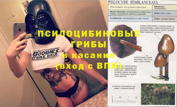 Альфа ПВП Армянск
