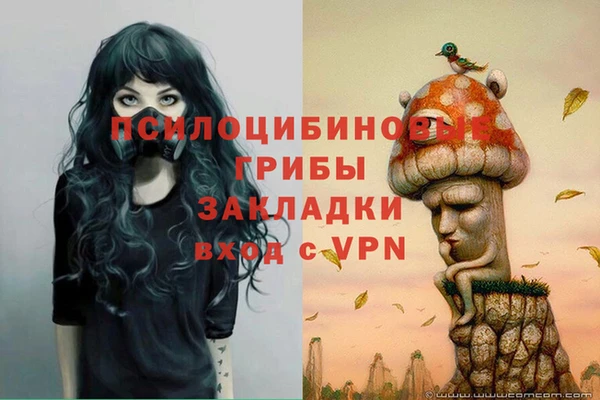 гидра Арсеньев