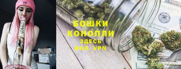 гидра Арсеньев