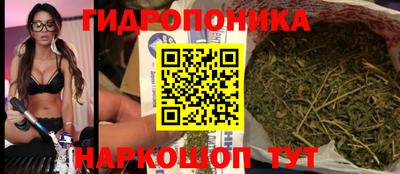 гидропоника Чапаевск