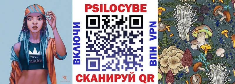 Галлюциногенные грибы мицелий  где продают наркотики  Новороссийск 